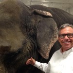 An ad man and his elephant